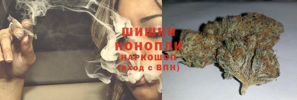 прущие грибы Наволоки