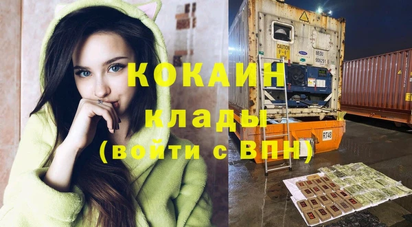 прущие грибы Наволоки