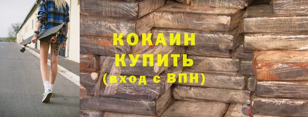 прущие грибы Наволоки