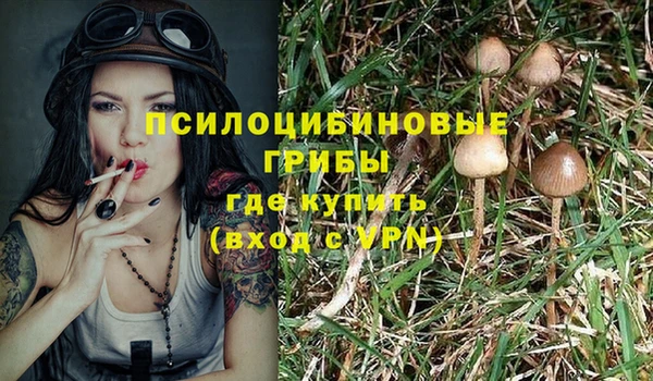 прущие грибы Наволоки