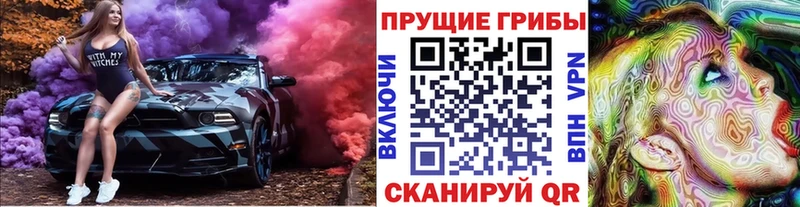 Псилоцибиновые грибы Psilocybe  Оленегорск 